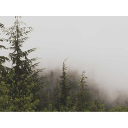 Synergistic Granite Pants fr-FR